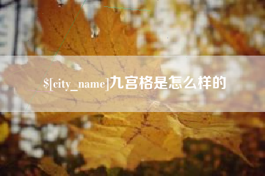 新疆九宫格是怎么样的