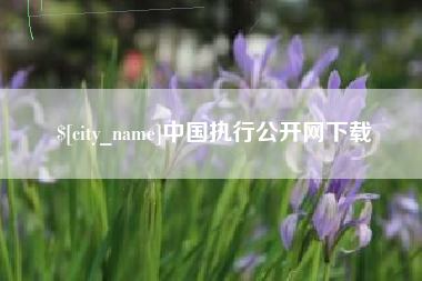 新疆中国执行公开网下载