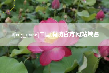 新疆中国消防官方网站域名