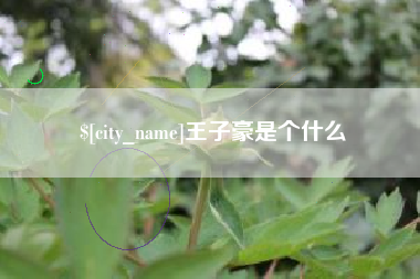 新疆王子豪是个什么