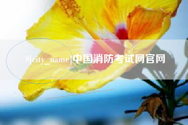 新疆中国消防考试网官网