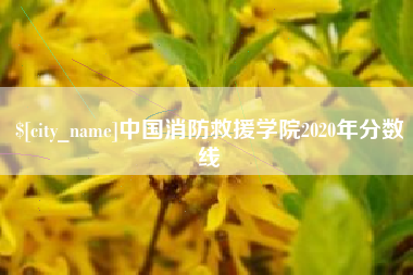 新疆中国消防救援学院2020年分数线