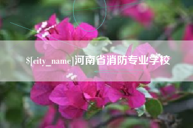新疆河南省消防专业学校