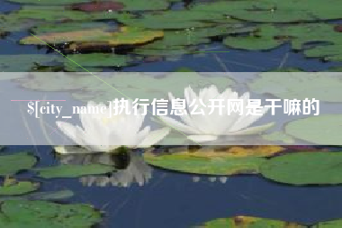 新疆执行信息公开网是干嘛的