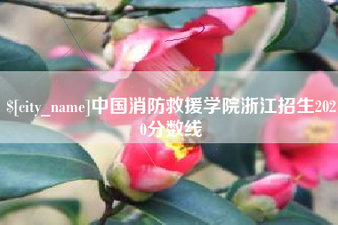 新疆中国消防救援学院浙江招生2020分数线