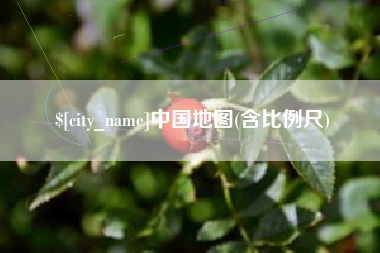 新疆中国地图(含比例尺)
