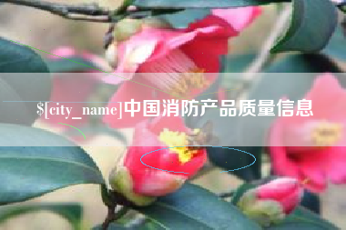 新疆中国消防产品质量信息
