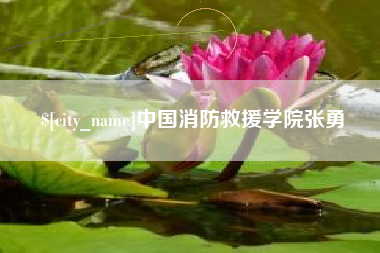 新疆中国消防救援学院张勇