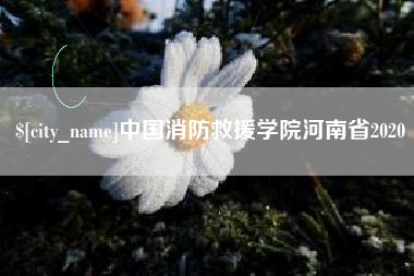 新疆中国消防救援学院河南省2020
